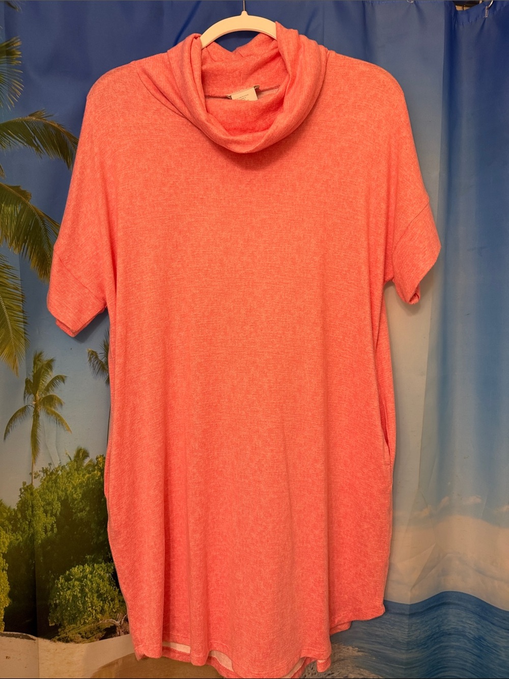 SOFTIES Coral Cowl Neck Short Sleeve Tunic Top